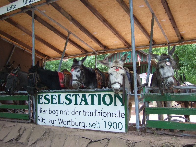 2011- 033.jpg